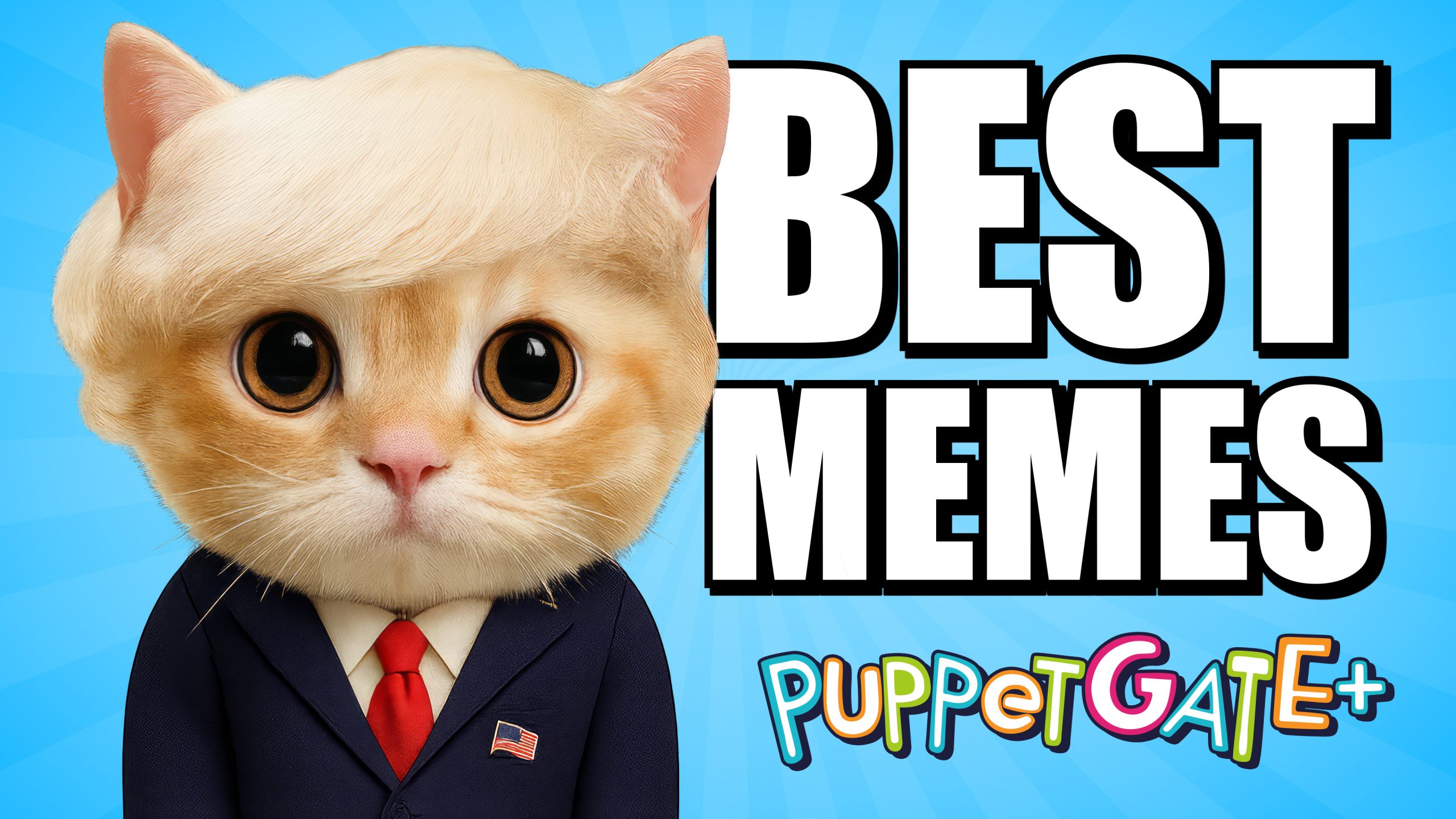 Democrats HATE Cute Kittens